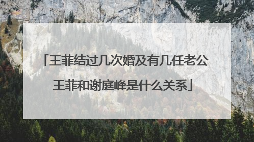 王菲结过几次婚及有几任老公 王菲和谢庭峰是什么关系