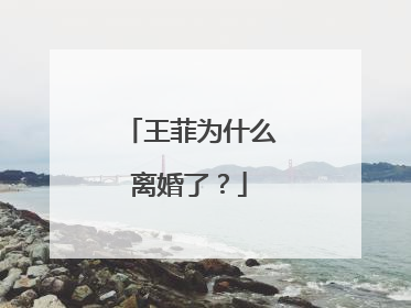 王菲为什么离婚了?