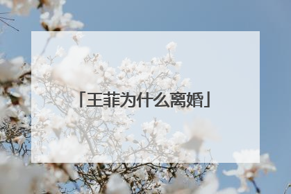 王菲为什么离婚