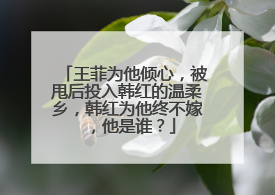 王菲为他倾心，被甩后投入韩红的温柔乡，韩红为他终不嫁，他是谁？