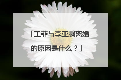 王菲与李亚鹏离婚的原因是什么?