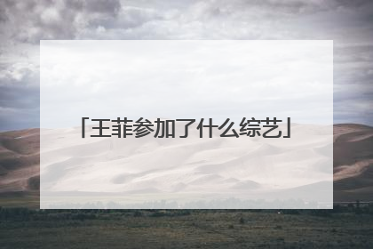 王菲参加了什么综艺