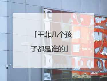 王菲几个孩子都是谁的