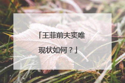 王菲前夫窦唯现状如何？