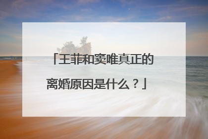 王菲和窦唯真正的离婚原因是什么?