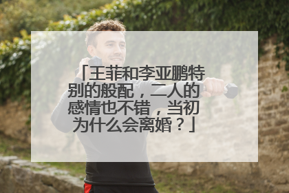 王菲和李亚鹏特别的般配，二人的感情也不错，当初为什么会离婚？