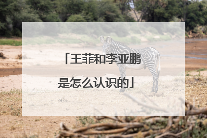 王菲和李亚鹏是怎么认识的