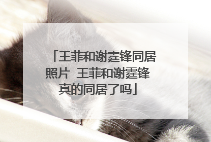 王菲和谢霆锋同居照片 王菲和谢霆锋真的同居了吗