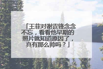 王菲对谢霆锋念念不忘，看看他早期的照片就知道原因了，真有那么帅吗？
