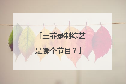 王菲录制综艺是哪个节目？