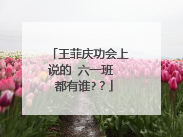 王菲庆功会上说的 六一班 都有谁??