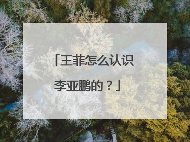 王菲怎么认识李亚鹏的？