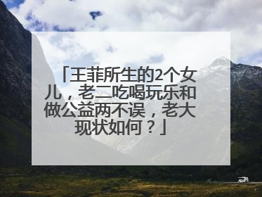 王菲所生的2个女儿,老二吃喝玩乐和做公益两不误,老大现状如何?