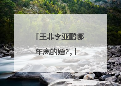 王菲李亚鹏哪年离的婚?,