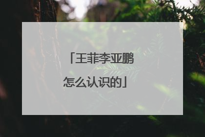 王菲李亚鹏怎么认识的