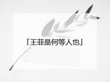 王菲是何等人也