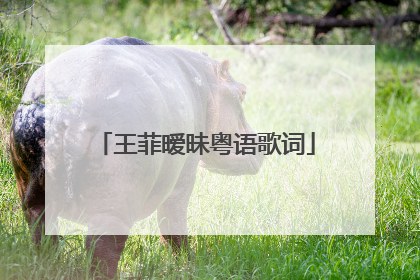 王菲暧昧粤语歌词