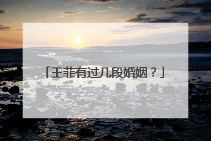 王菲有过几段婚姻？