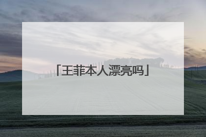 王菲本人漂亮吗