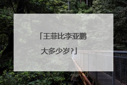 王菲比李亚鹏大多少岁?