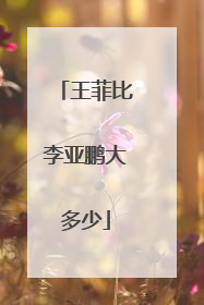 王菲比李亚鹏大多少
