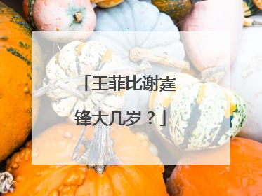 王菲比谢霆锋大几岁？