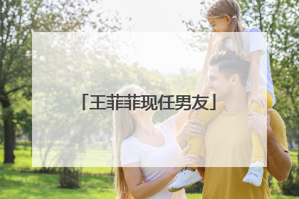 王菲菲现任男友