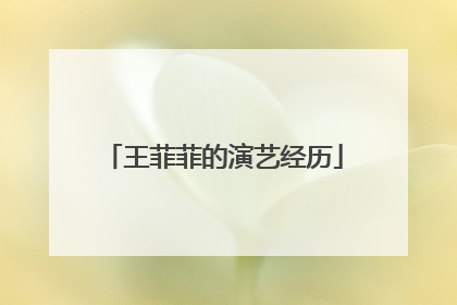 王菲菲的演艺经历