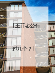 王菲老公有过几个？