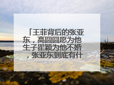 王菲背后的张亚东，高圆圆愿为他生子瞿颖为他不婚，张亚东到底有什么魅力？