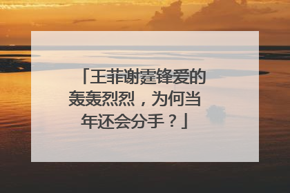 王菲谢霆锋爱的轰轰烈烈，为何当年还会分手？