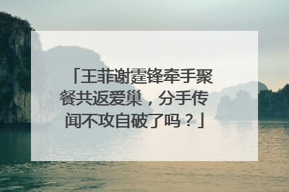 王菲谢霆锋牵手聚餐共返爱巢，分手传闻不攻自破了吗？