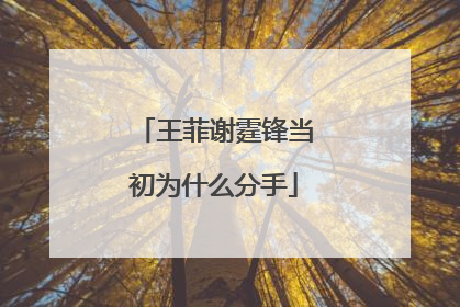 王菲谢霆锋当初为什么分手