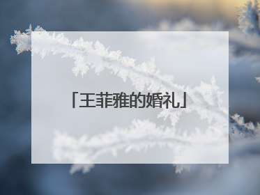 王菲雅的婚礼