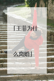 王菲为什么离婚