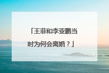 王菲和李亚鹏当时为何会离婚？