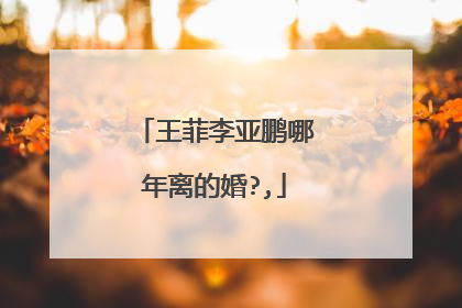 王菲李亚鹏哪年离的婚?,