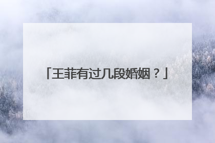 王菲有过几段婚姻?