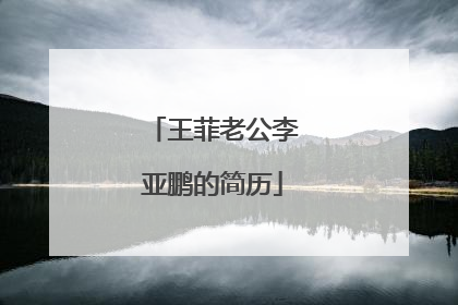 王菲老公李亚鹏的简历