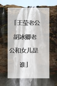 王莹老公 胡冰卿老公和女儿是谁