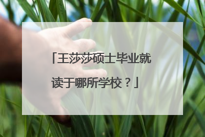 王莎莎硕士毕业就读于哪所学校？