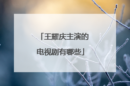 王耀庆主演的电视剧有哪些