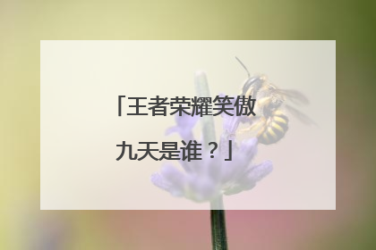 王者荣耀笑傲九天是谁?