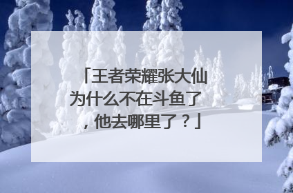 王者荣耀张大仙为什么不在斗鱼了,他去哪里了?