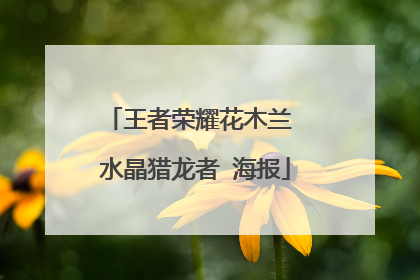 王者荣耀花木兰 水晶猎龙者 海报