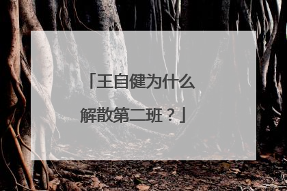 王自健为什么解散第二班？