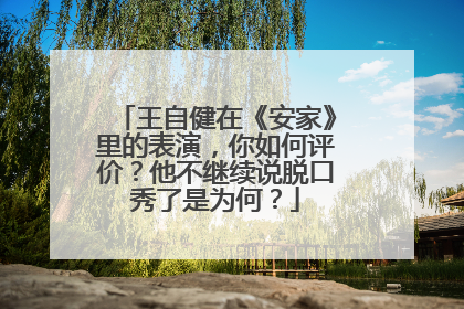 王自健在《安家》里的表演，你如何评价？他不继续说脱口秀了是为何？