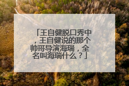 王自健脱口秀中，王自健说的那个帅哥导演海瑞，全名叫海瑞什么？