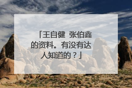 王自健 张伯鑫的资料。有没有达人知道的？