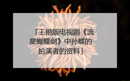 王艳版电视剧《流星蝴蝶剑》中孙蝶的扮演者的资料